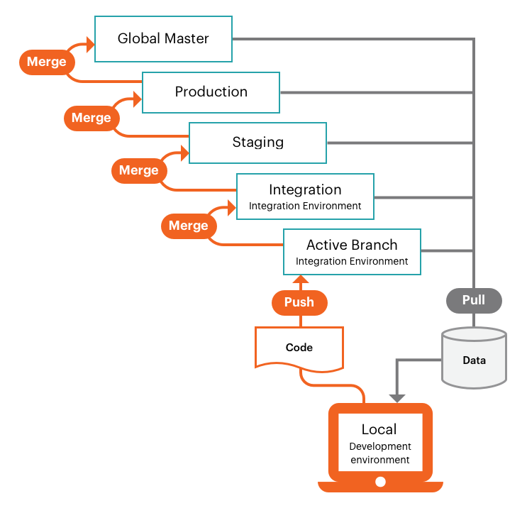 High-level view of Pro architecture development workflow
